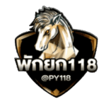 icon-logo-118pak